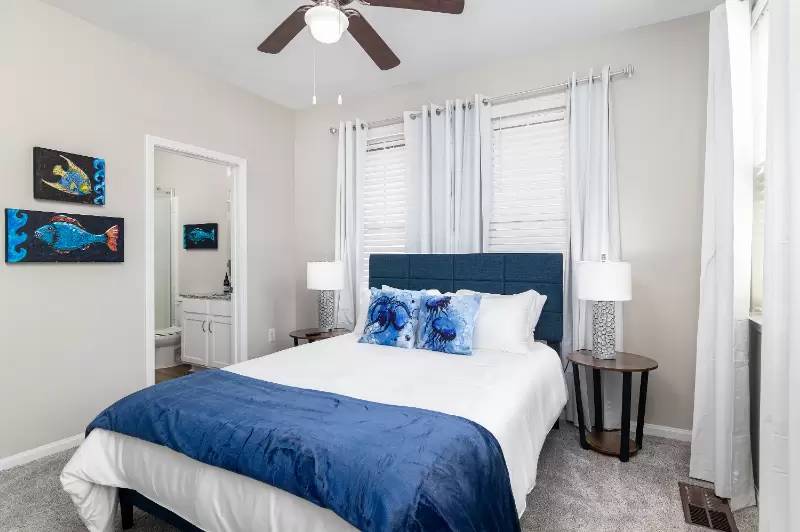 cover background