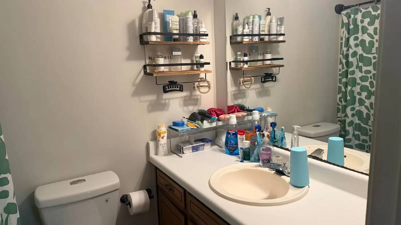 Property Image 12