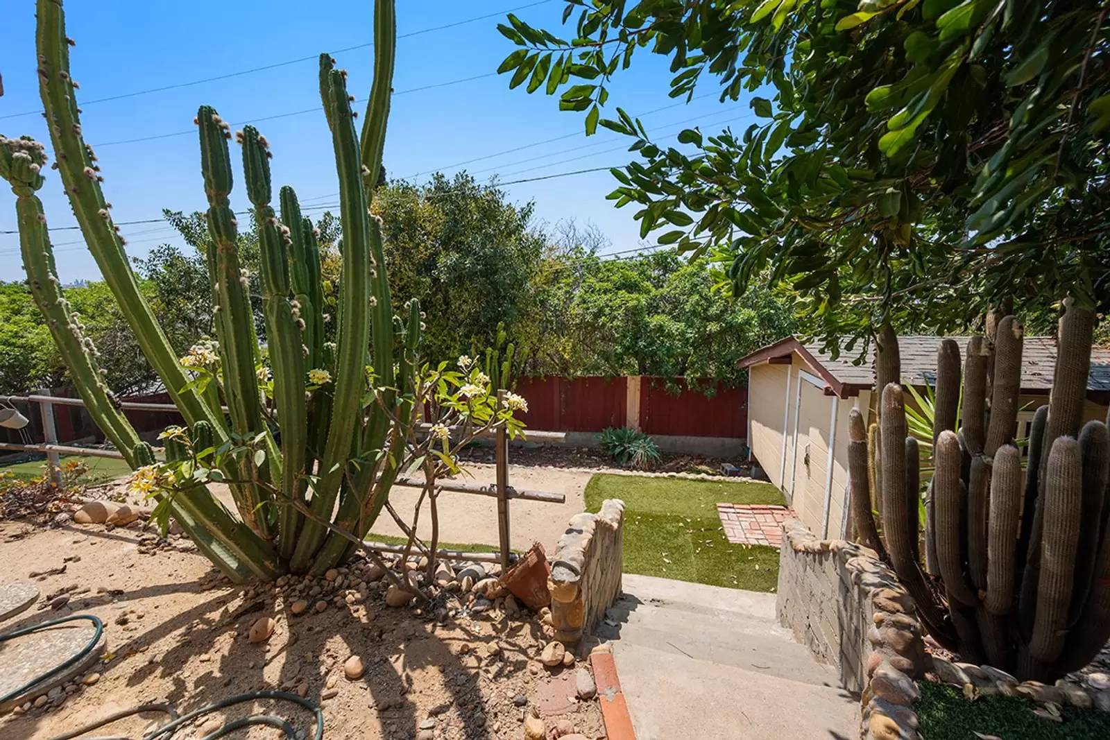 Property Image 42