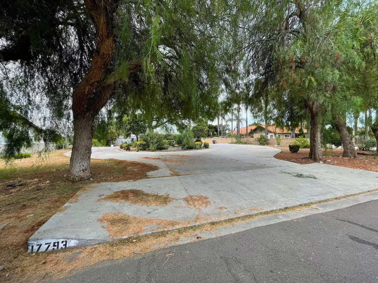 Property Image 15