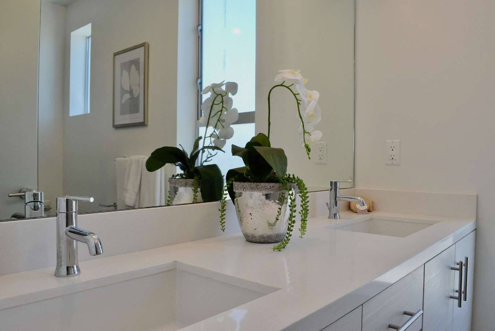 cover background