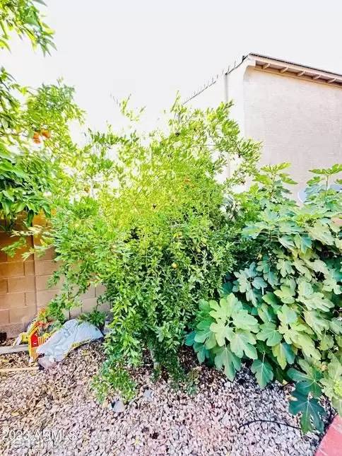 Property Image 52