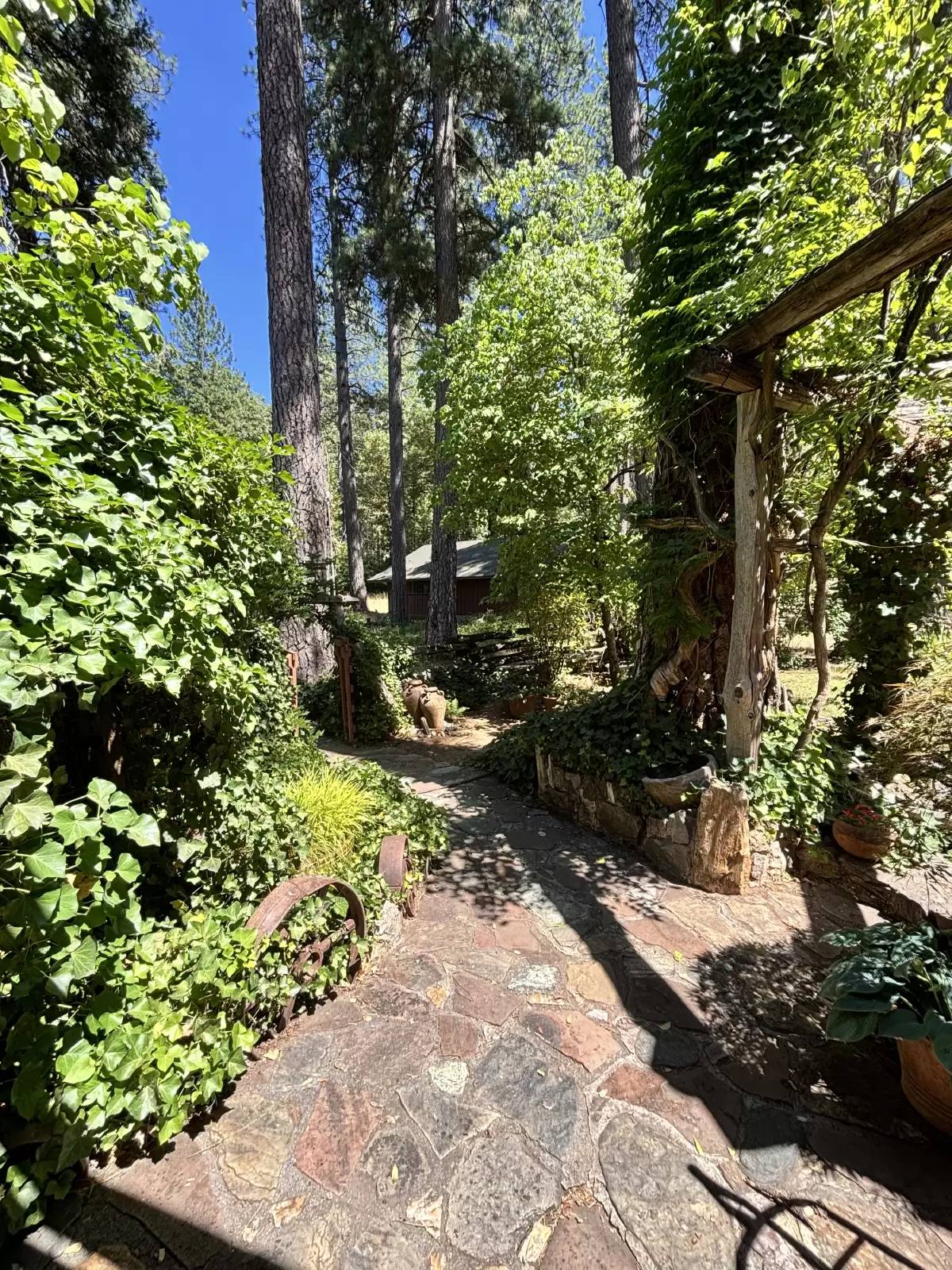 Property Image 47