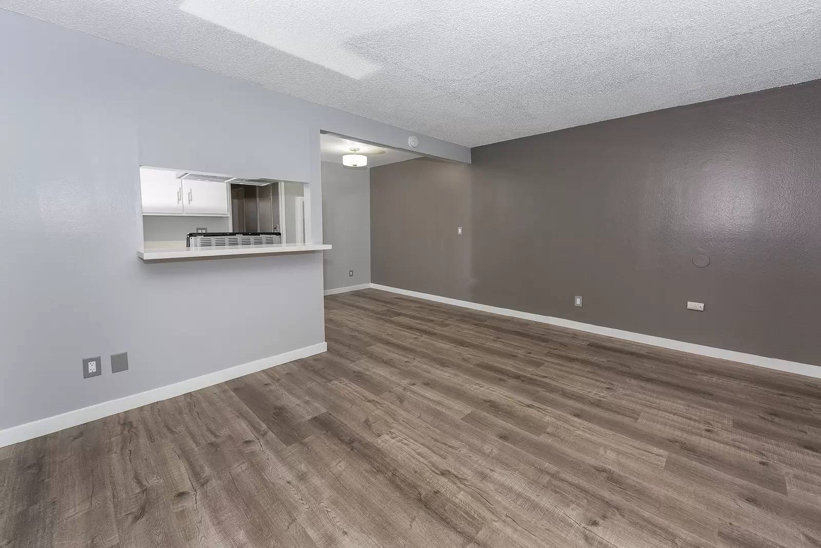 cover background