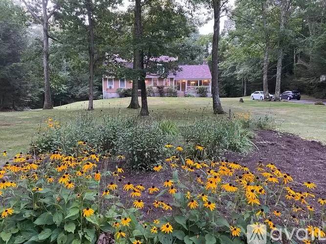 cover background