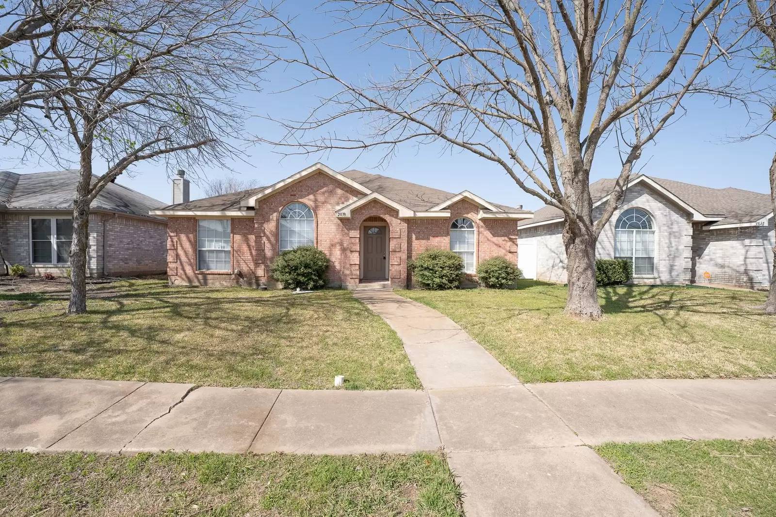 cover background
