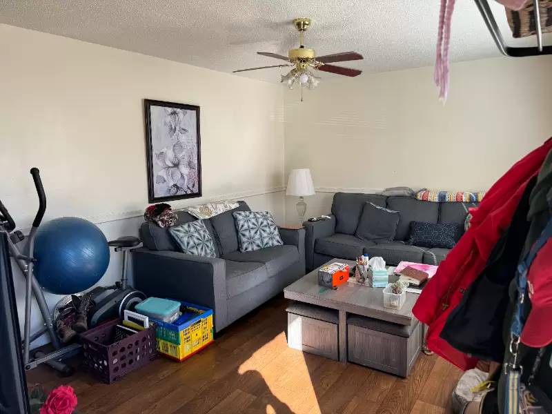 cover background