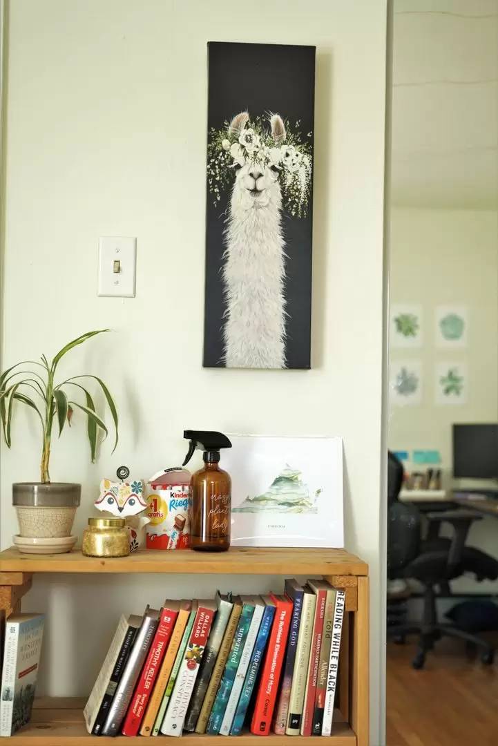 cover background
