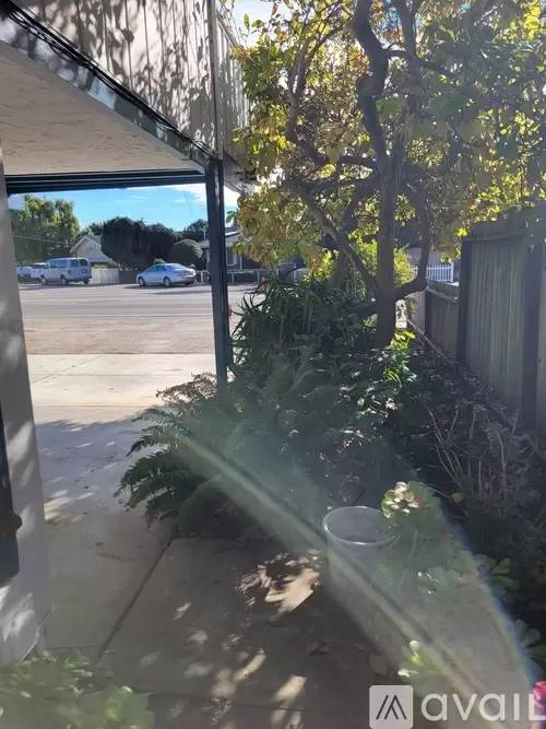 Property Image 59
