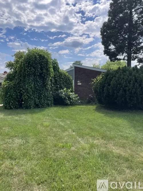 cover background