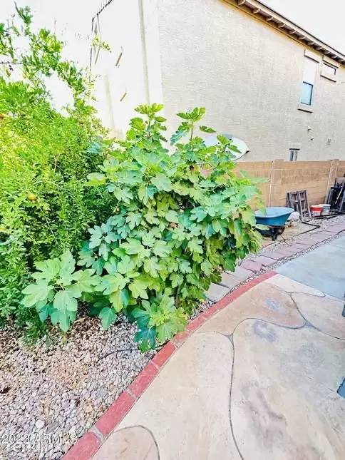 Property Image 54