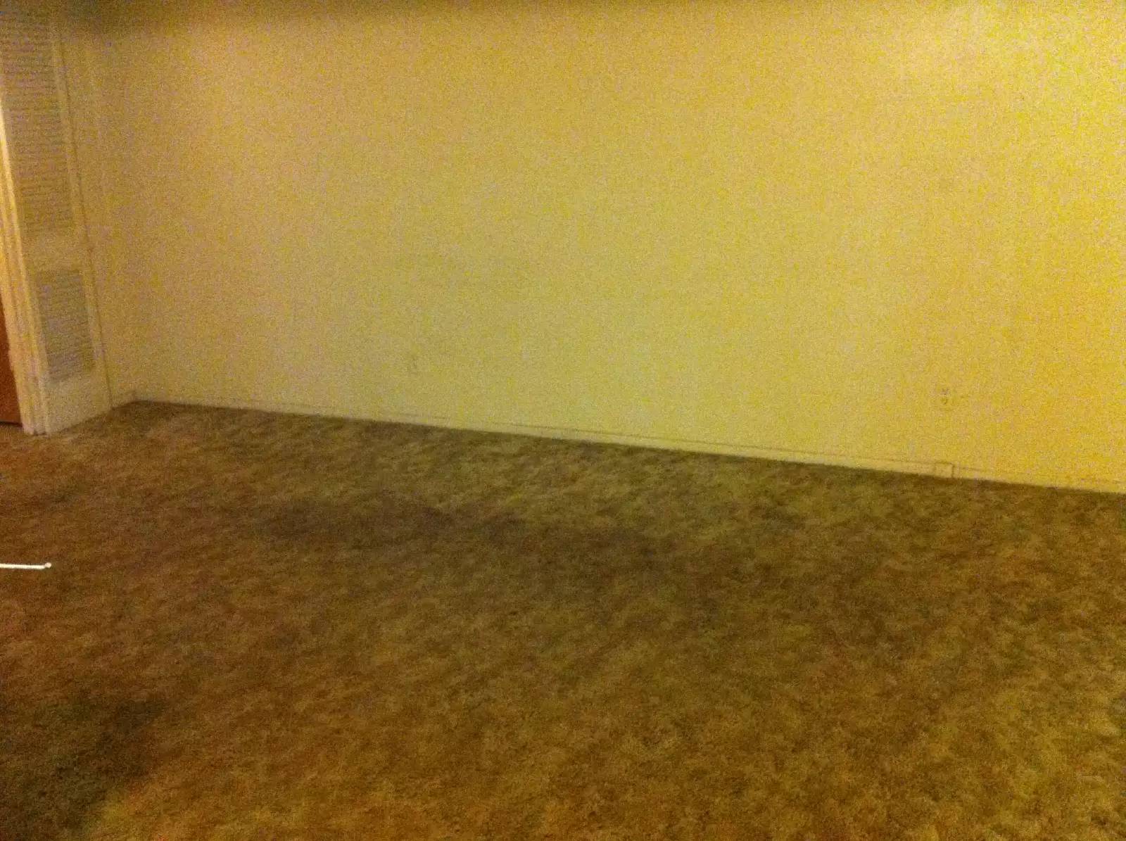 cover background