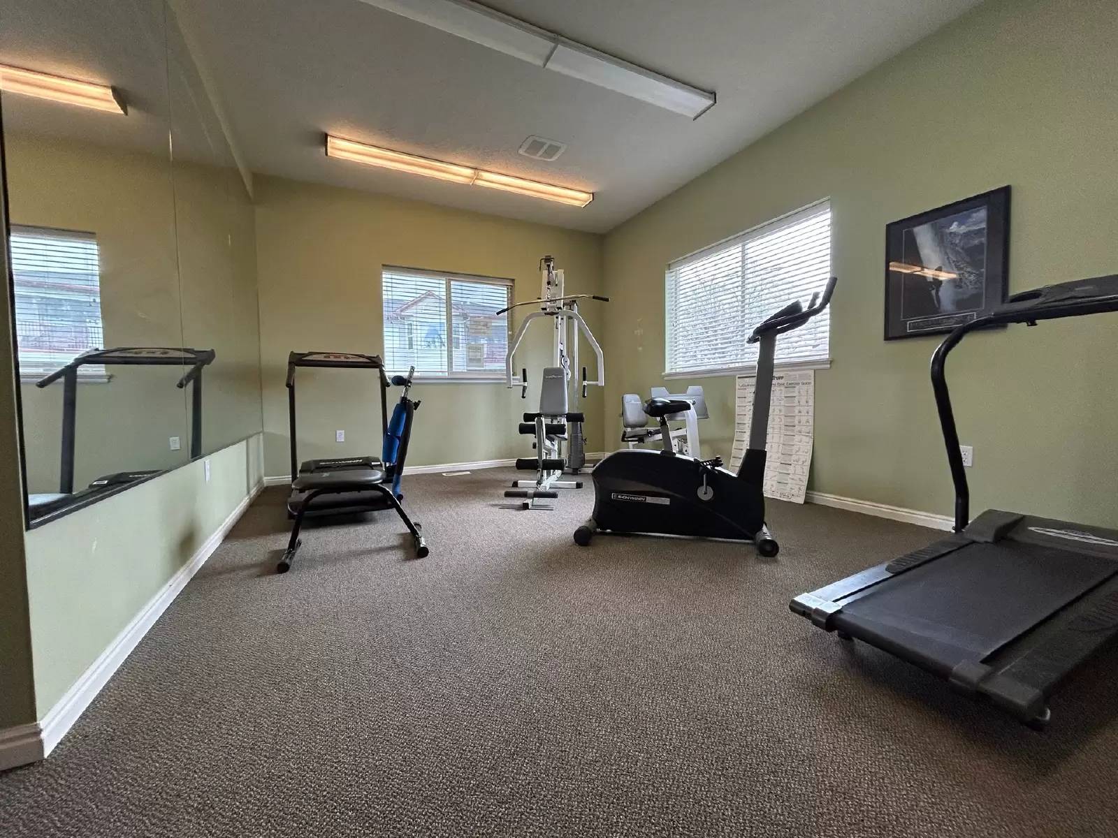 cover background