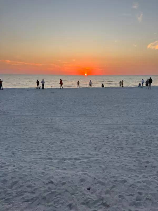 cover background