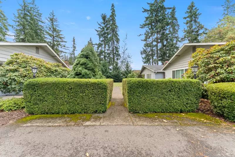 cover background