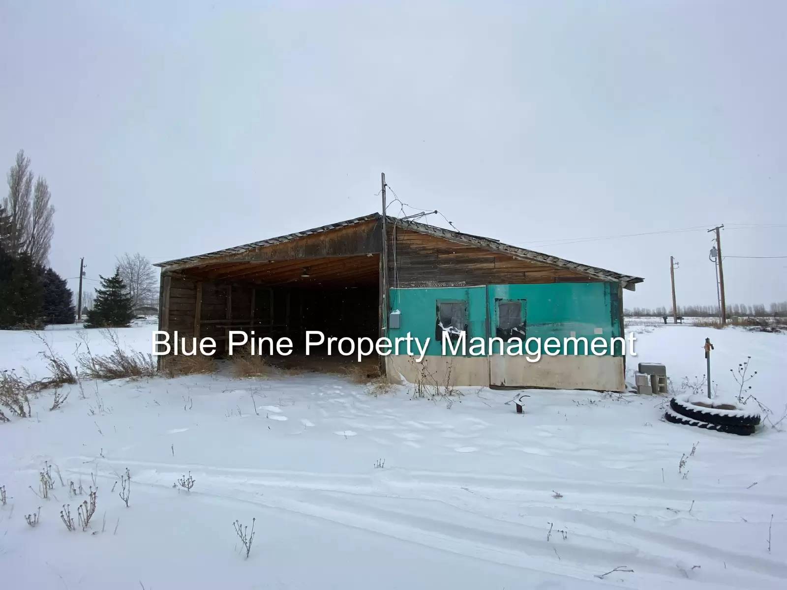Property Image 16