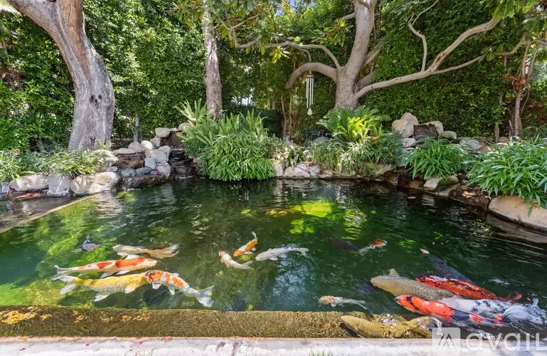 Property Image 69