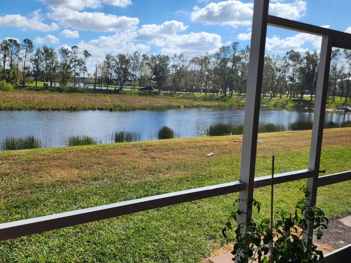 cover background