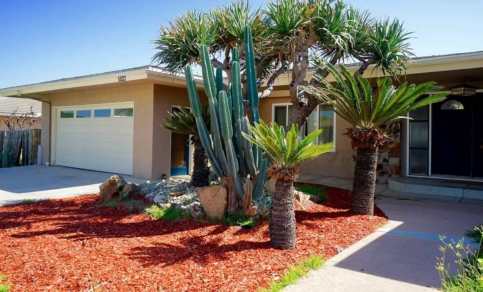 cover background