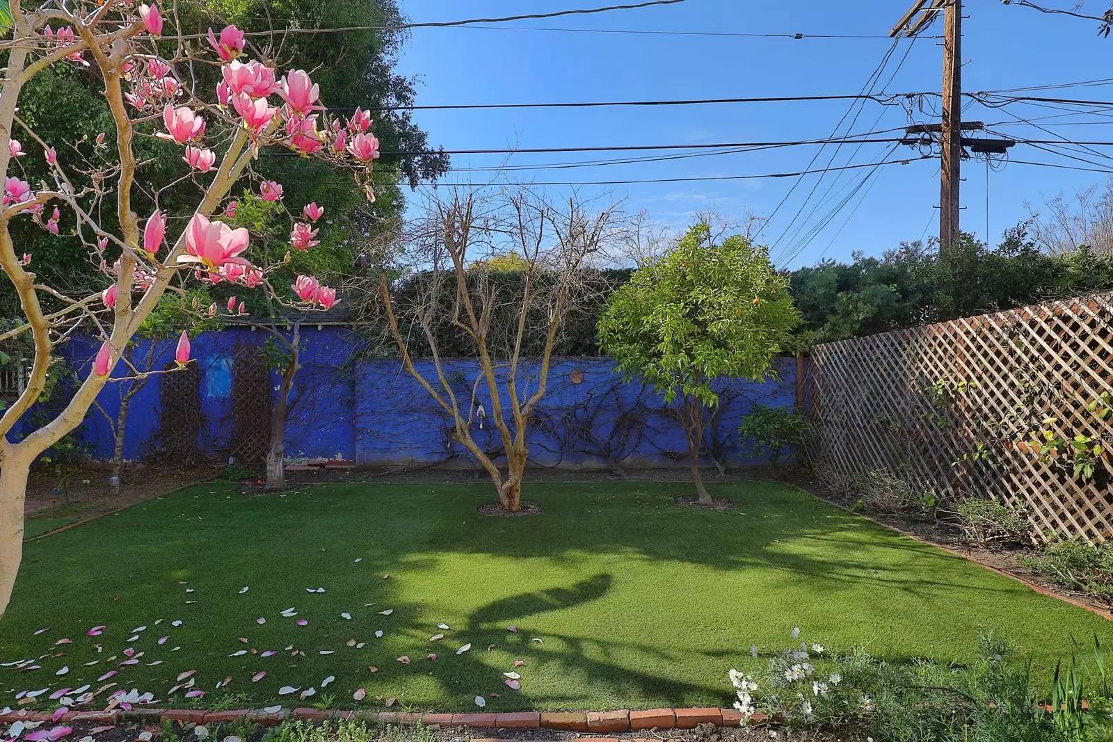 Property Image 55