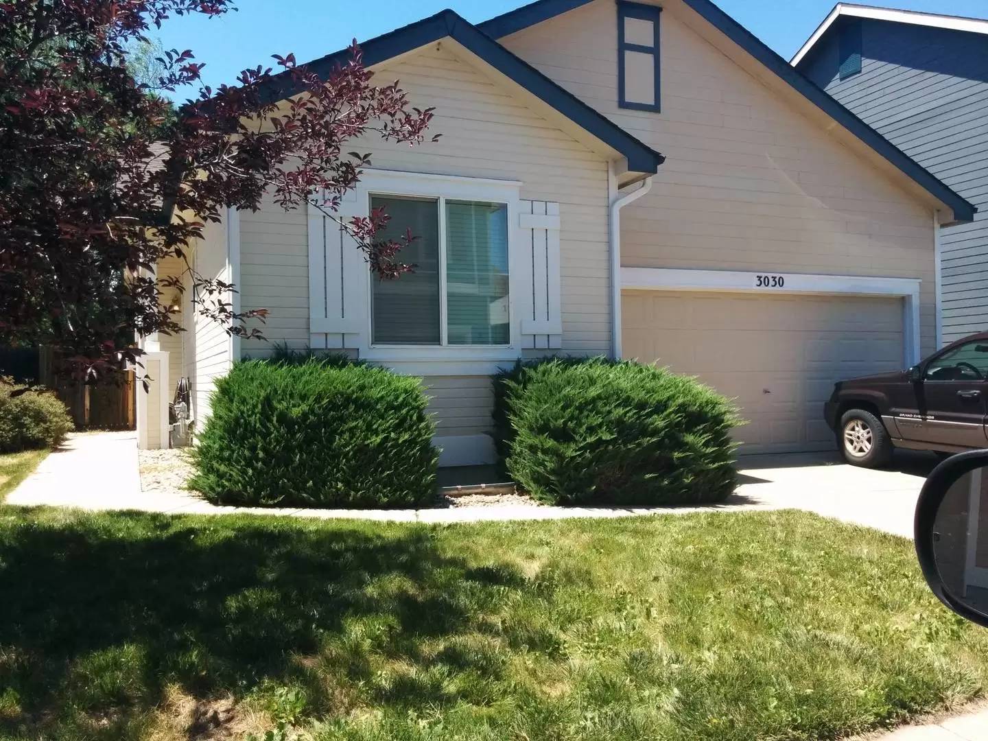 cover background