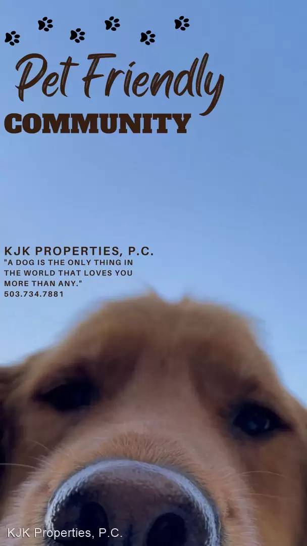cover background