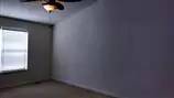 cover background