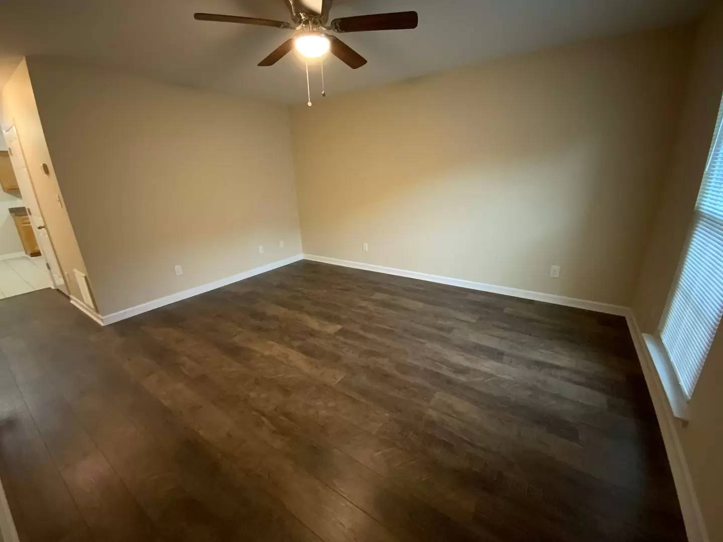 cover background