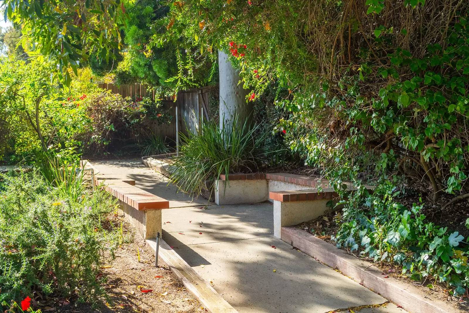 Property Image 32