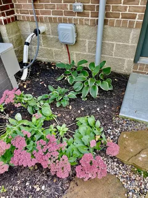 Property Image 68