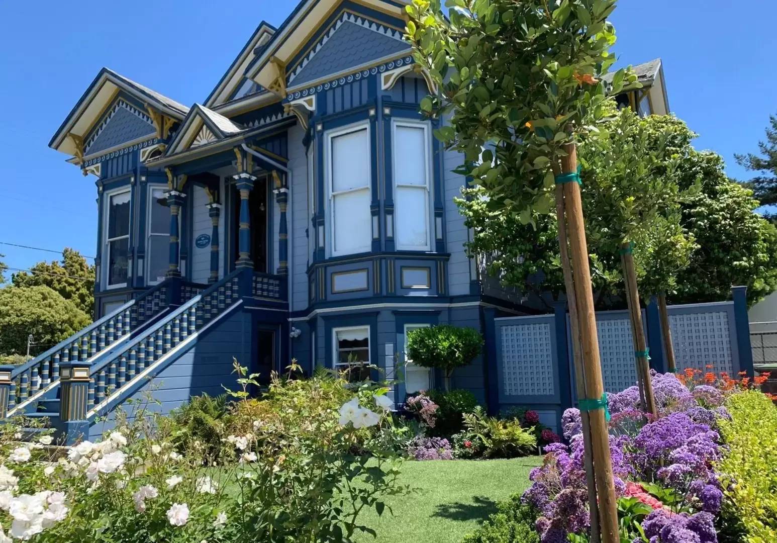 cover background