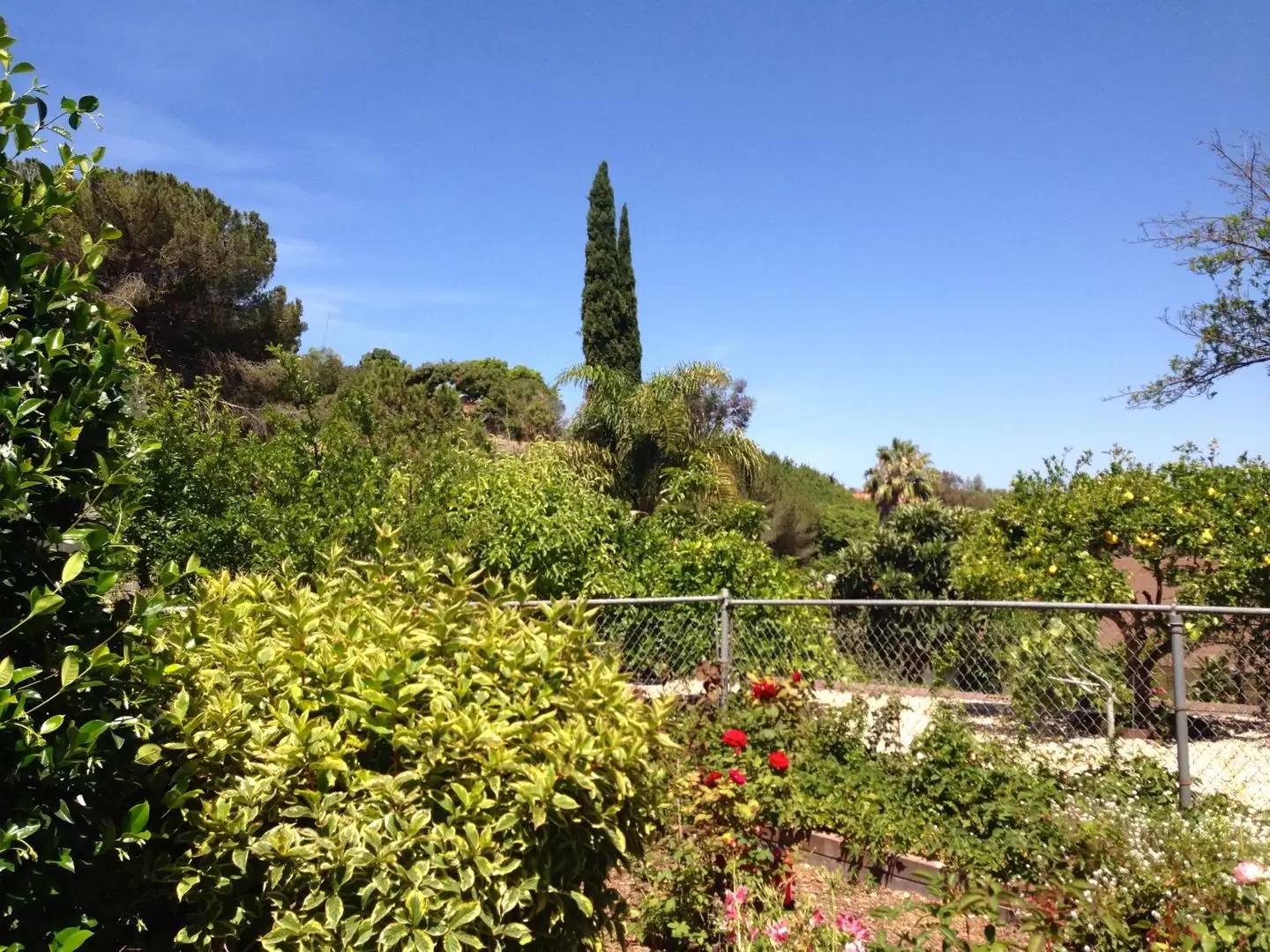 Property Image 26