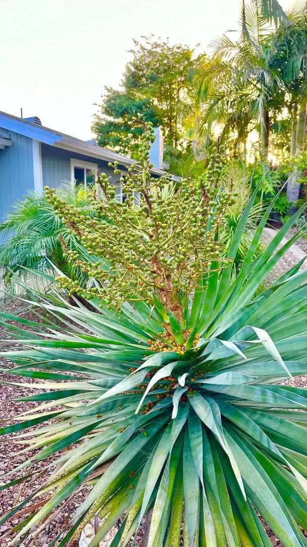 Property Image 80
