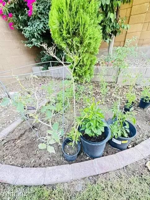 Property Image 66