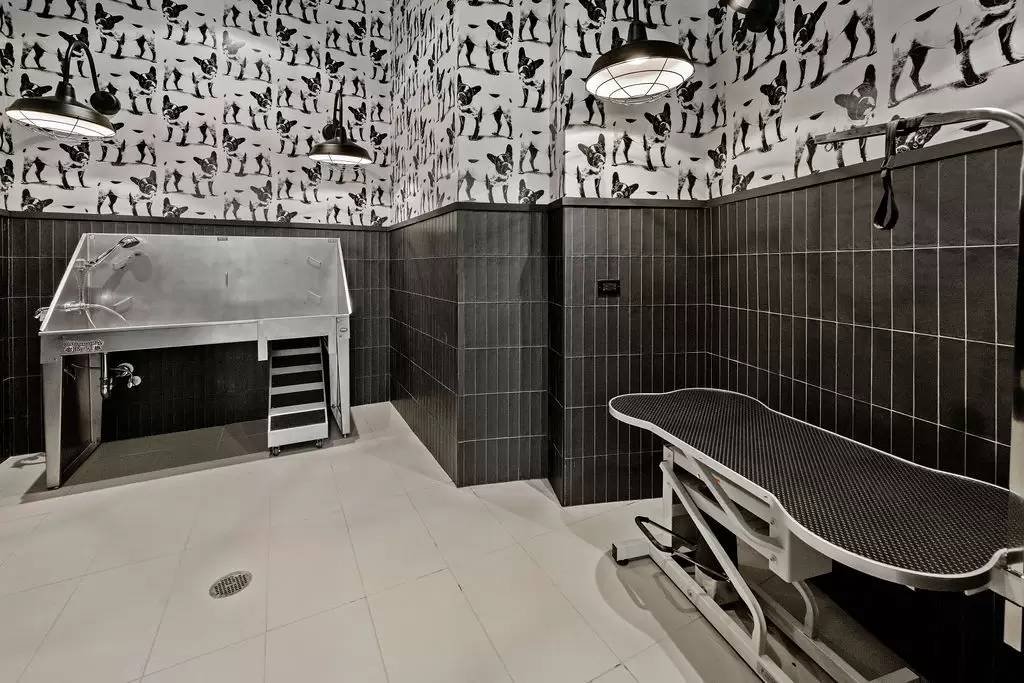 Property Image 72