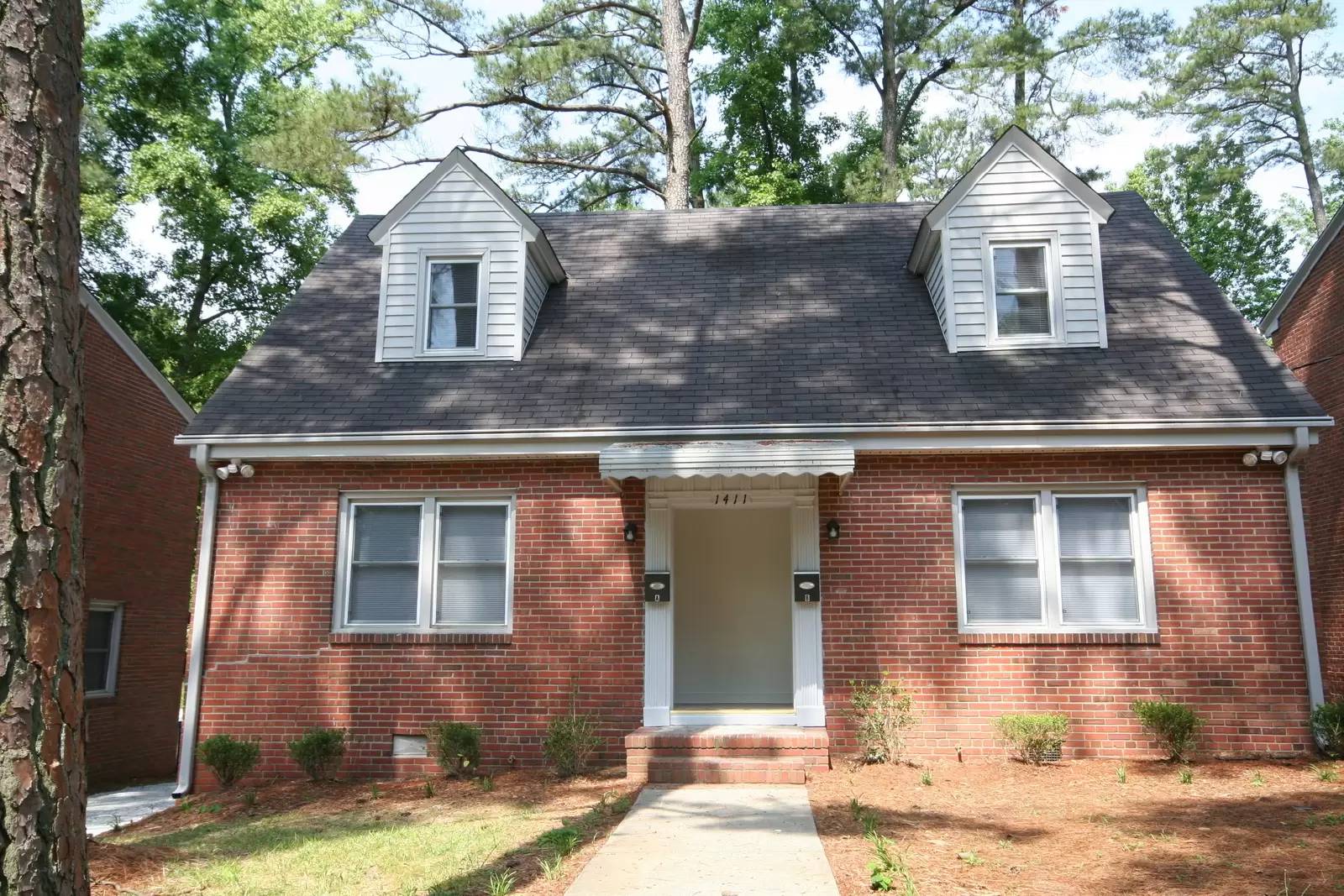 cover background