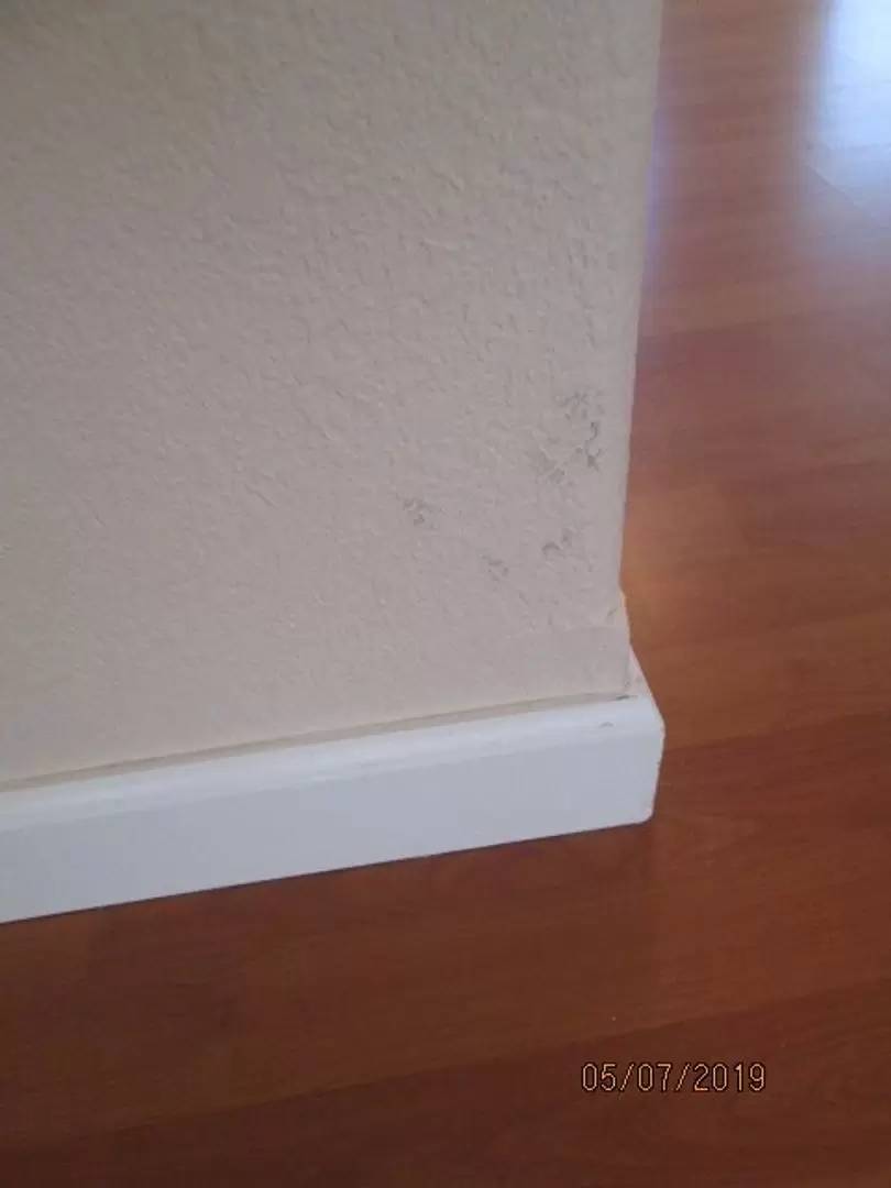 Property Image 77