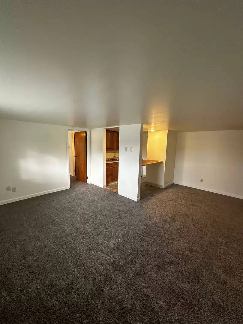 cover background