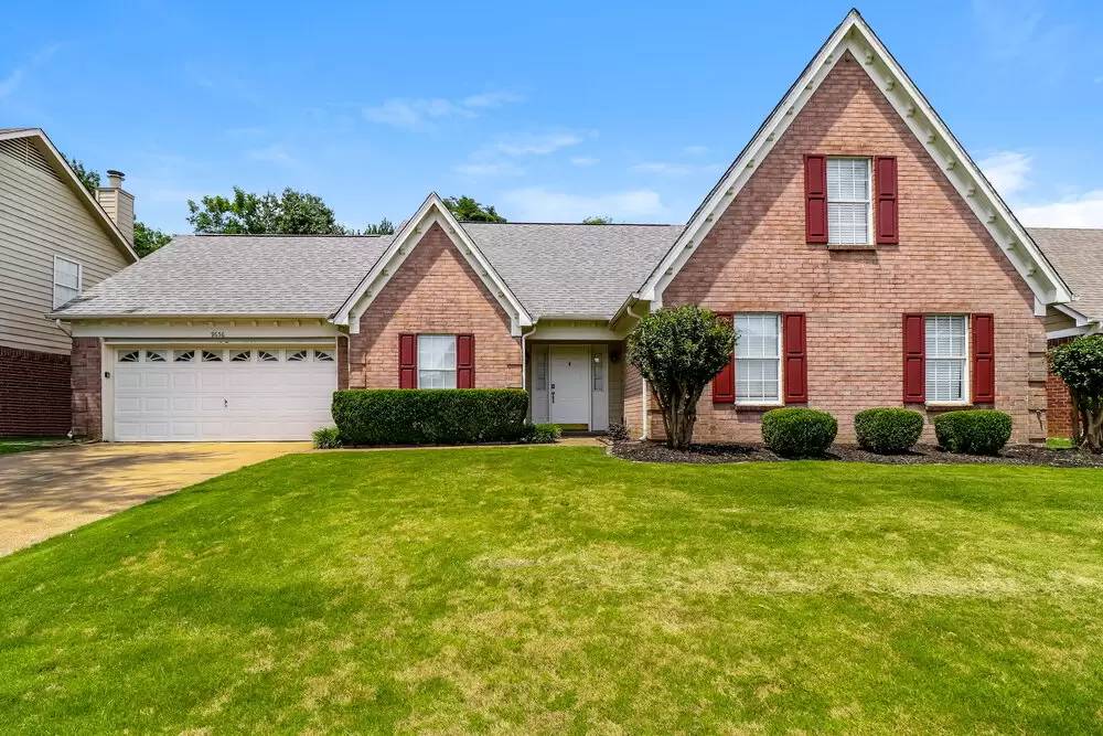 cover background