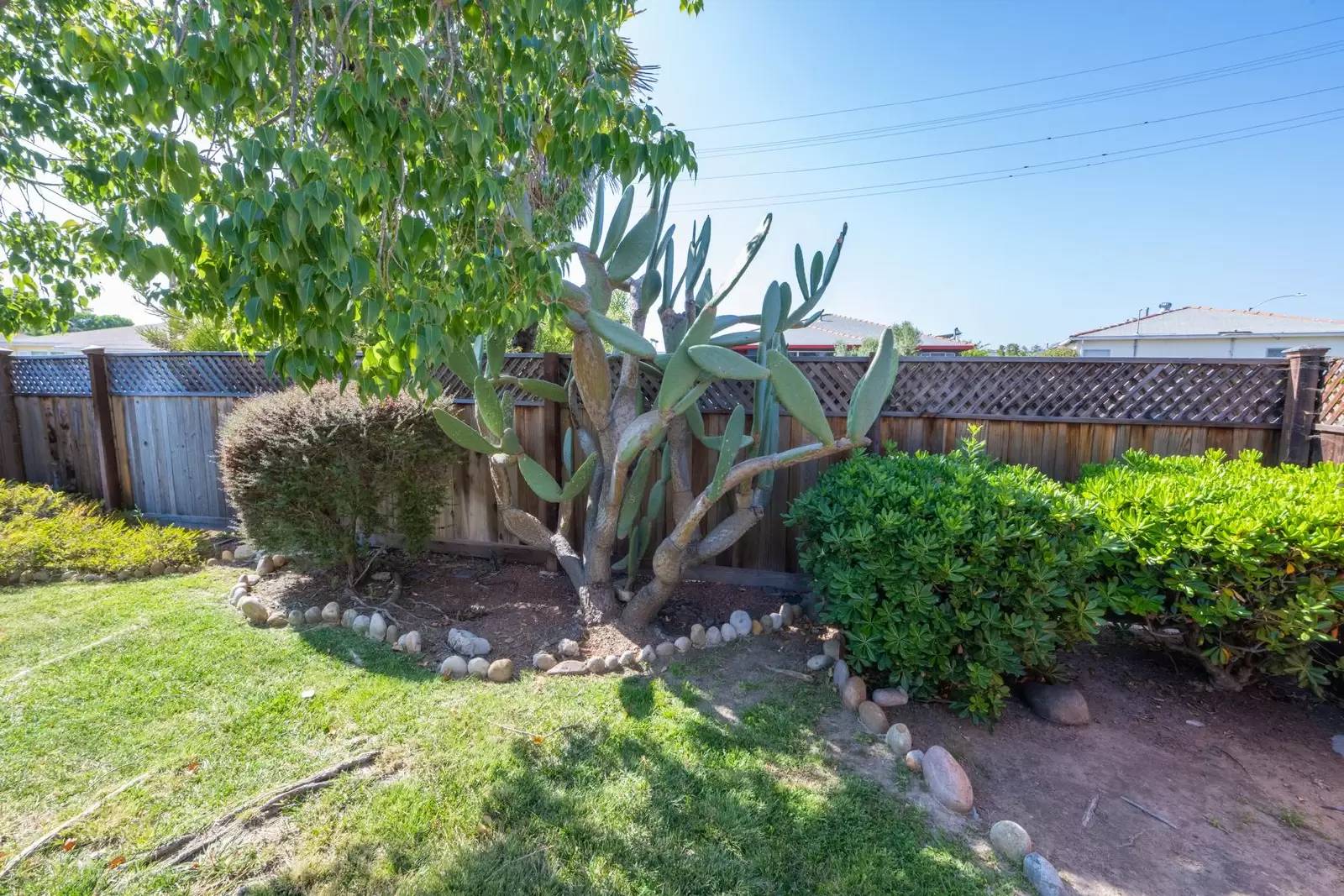 Property Image 56