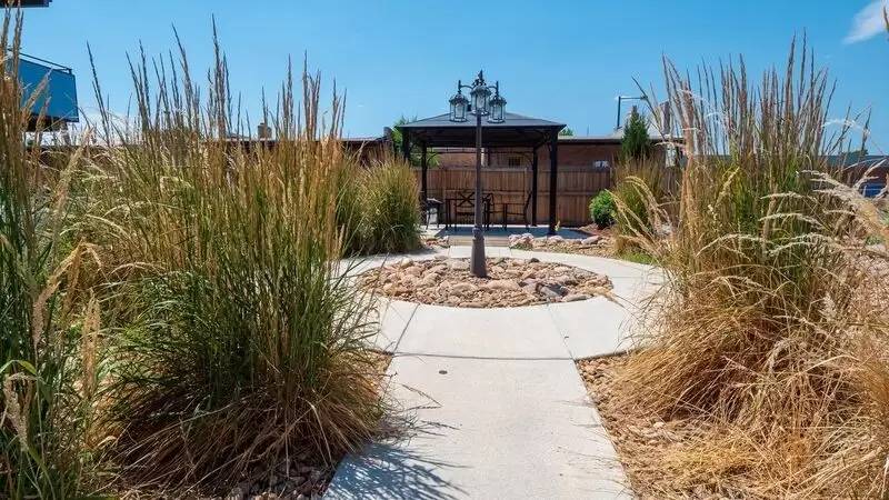 cover background