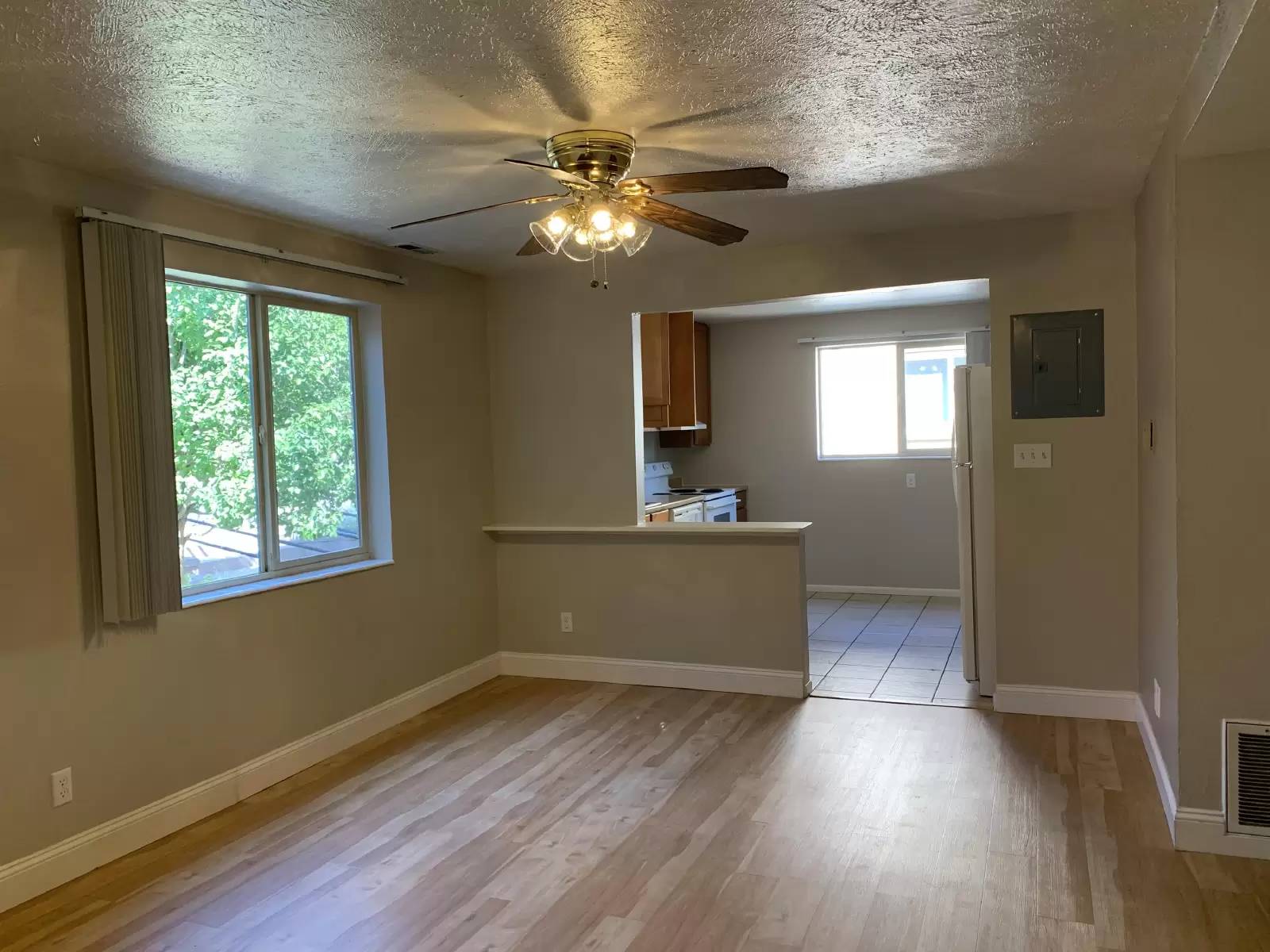 cover background