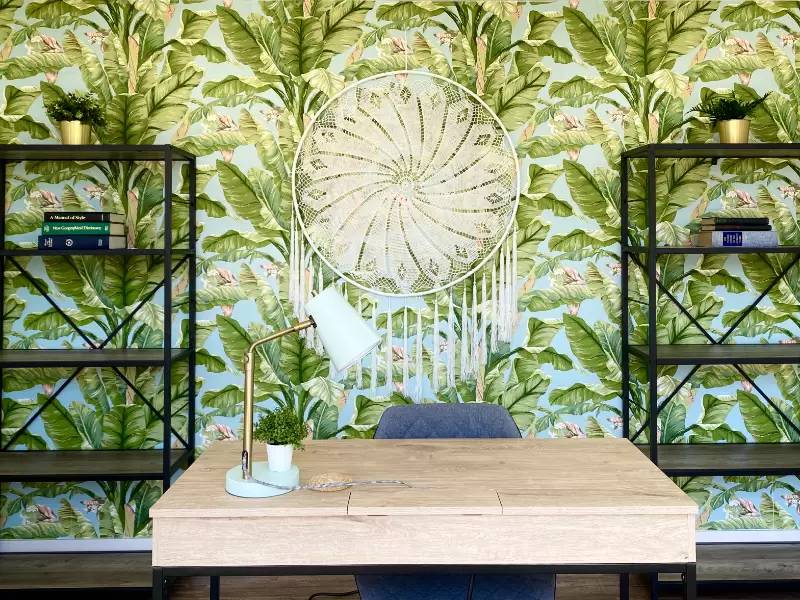 cover background
