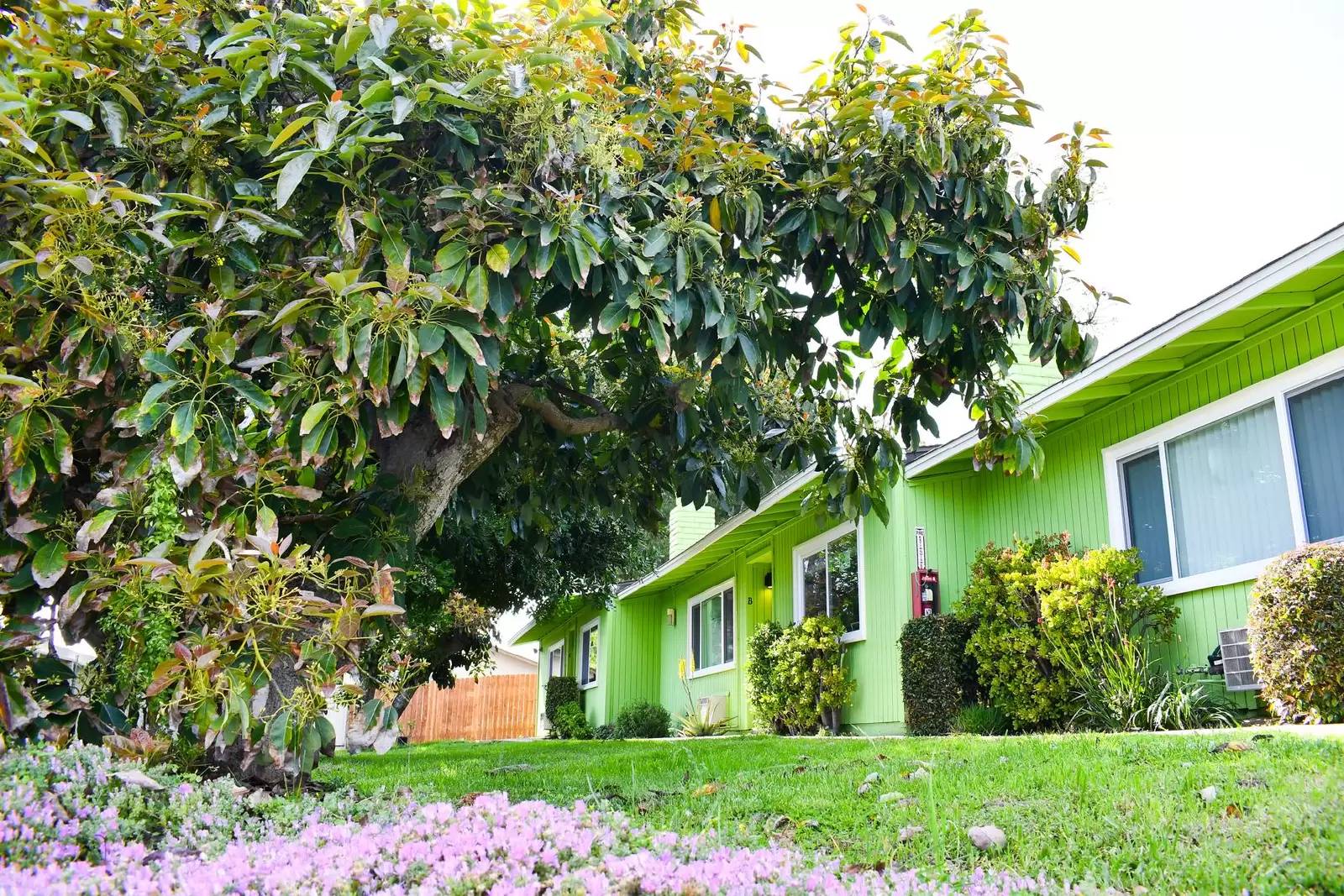 Property Image 9