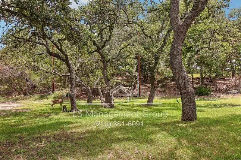 Property Image 65
