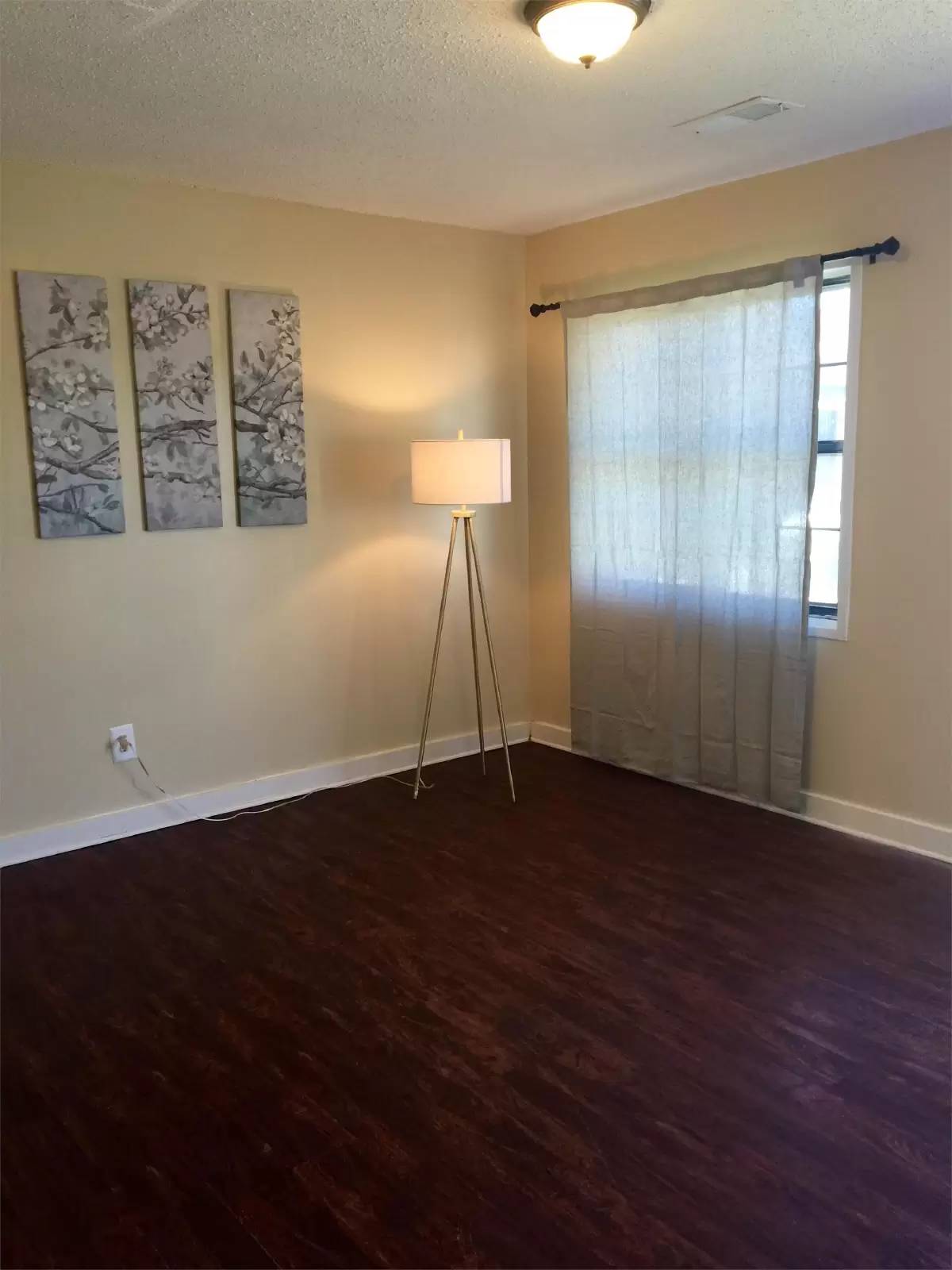 cover background