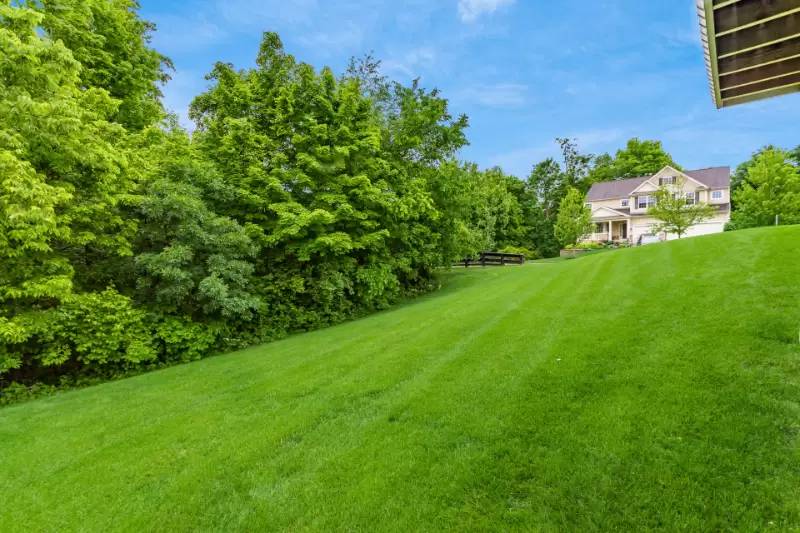Property Image 54
