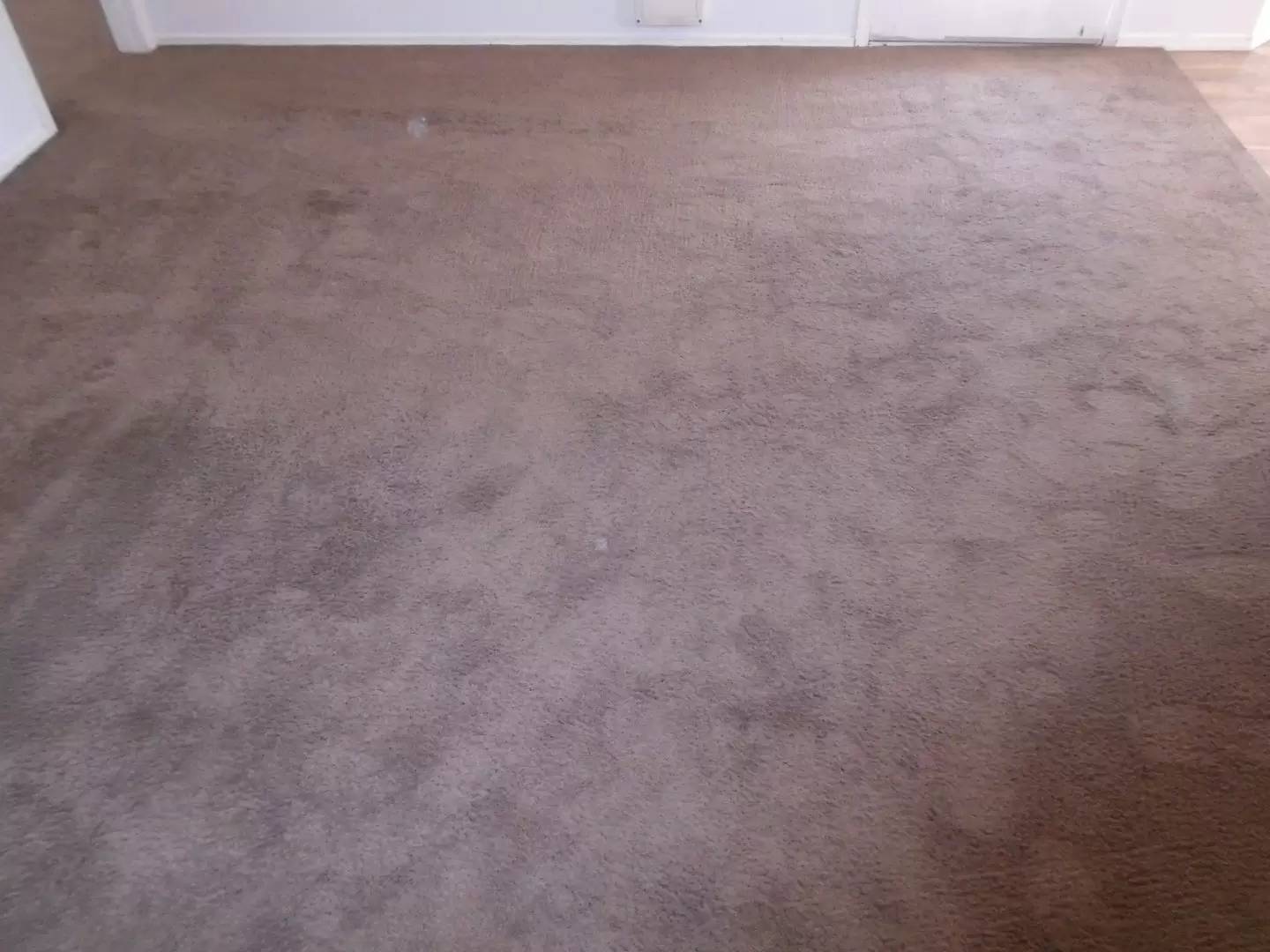 Property Image 146
