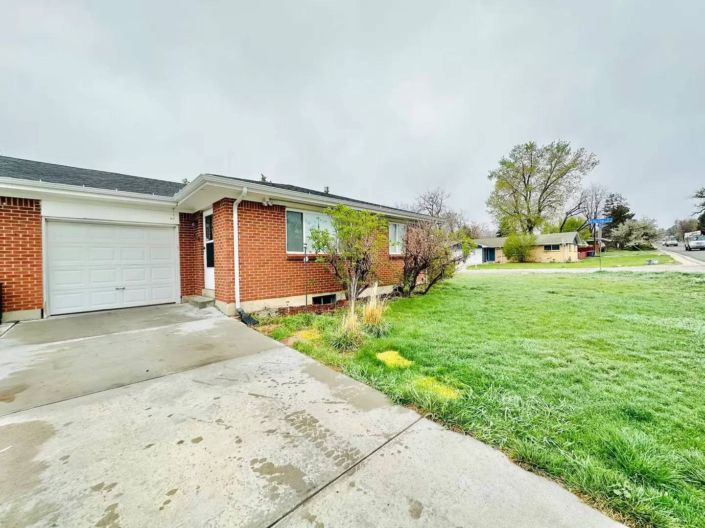 cover background