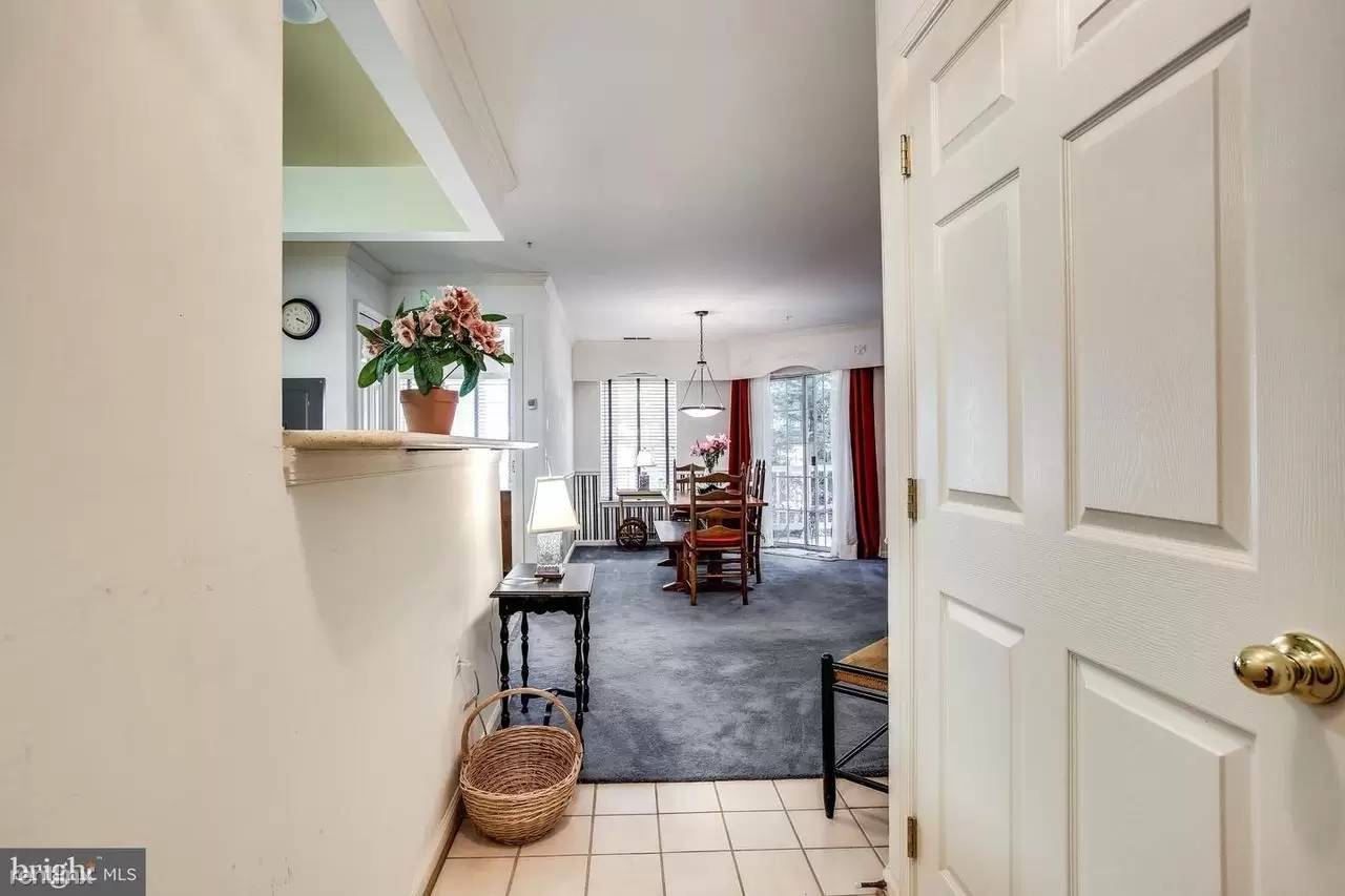 cover background